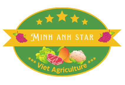 Minh Anh star